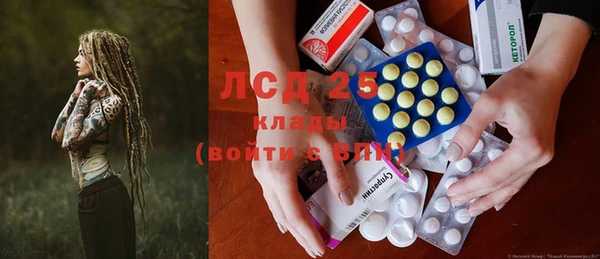 шишки Елизово