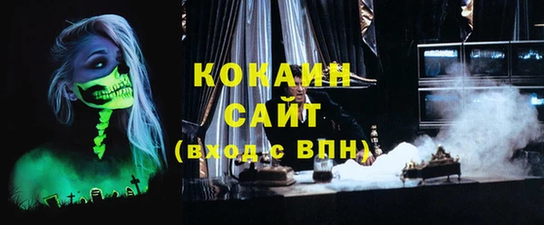 индика Ельня