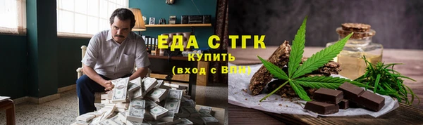 индика Ельня