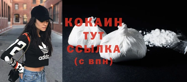 индика Ельня