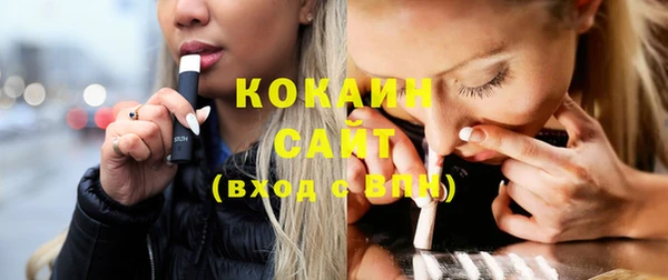 индика Ельня