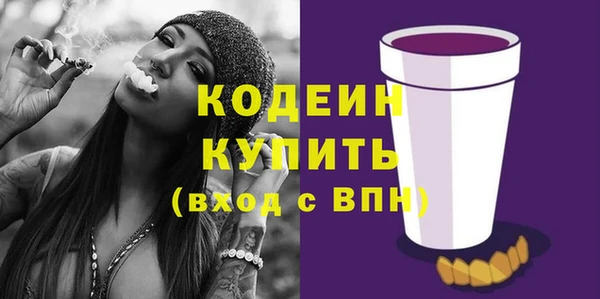 шишки Елизово