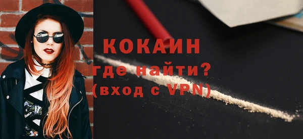 шишки Елизово