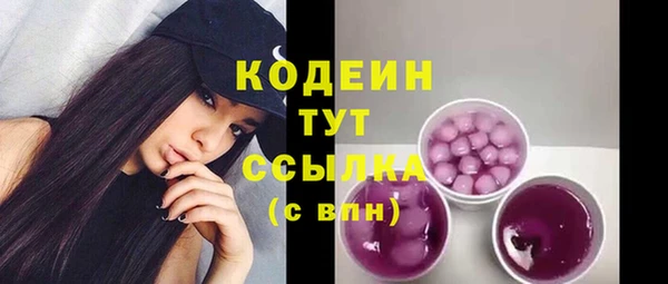 индика Ельня