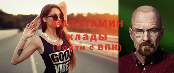 шишки Елизово