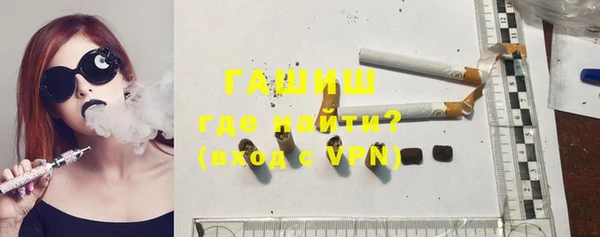 индика Ельня