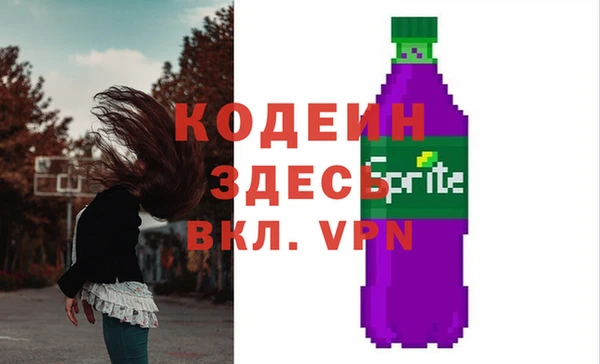 индика Ельня