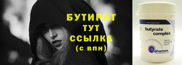 индика Ельня