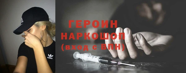 индика Ельня
