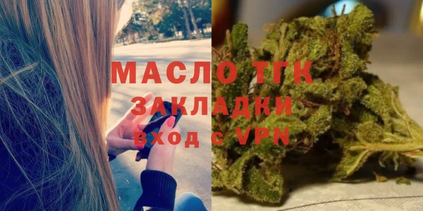 индика Ельня