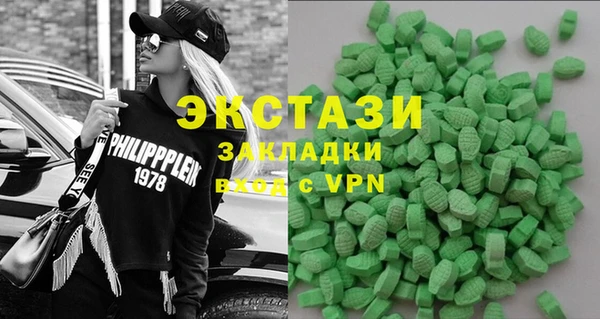 индика Ельня