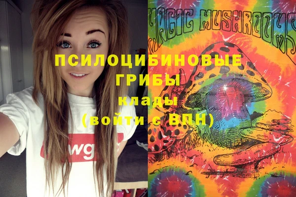 шишки Елизово
