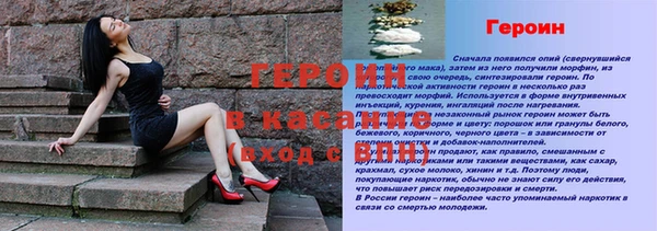 индика Ельня
