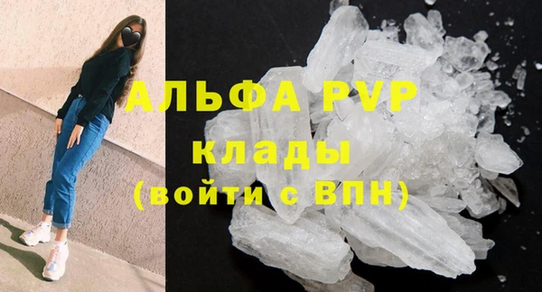 шишки Елизово