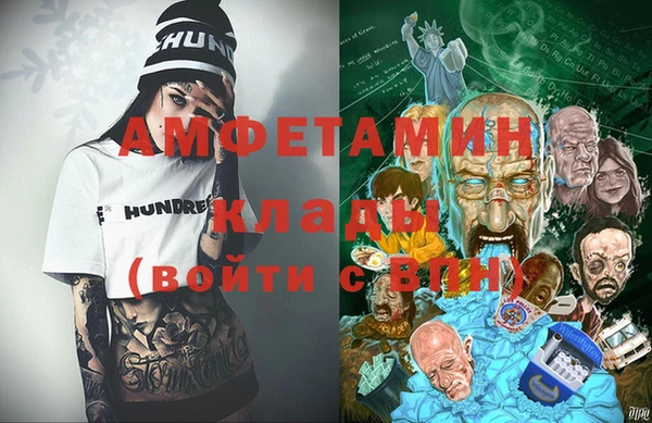 индика Ельня