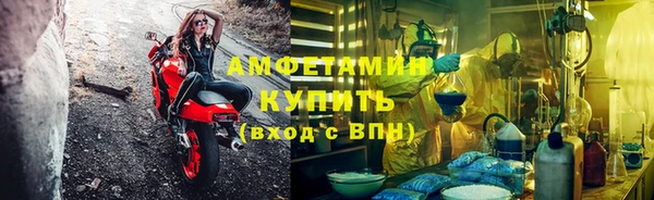шишки Елизово