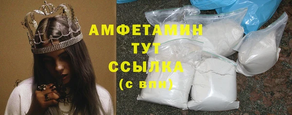 индика Ельня