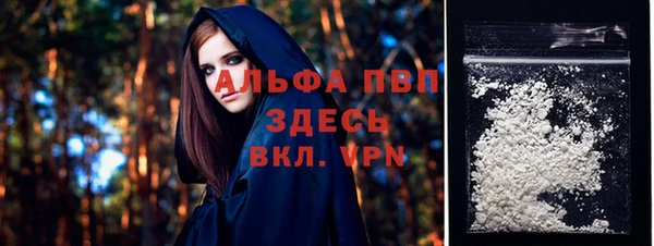 индика Ельня